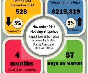 WHAT DID THE RE MARKET DO IN NOVEMBER 2014?